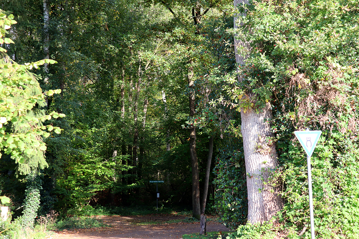 ilexpark