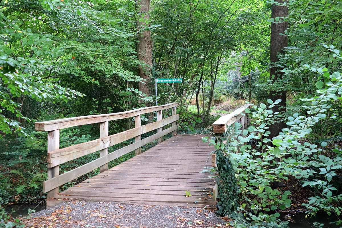 ilexpark_2