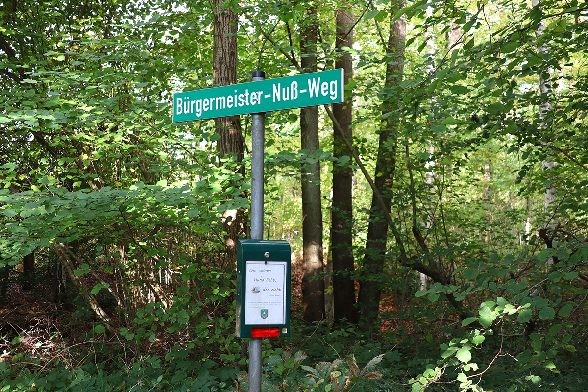 ilexpark_weg_2