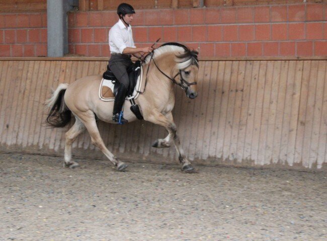 650x480-crop-90-img_0527