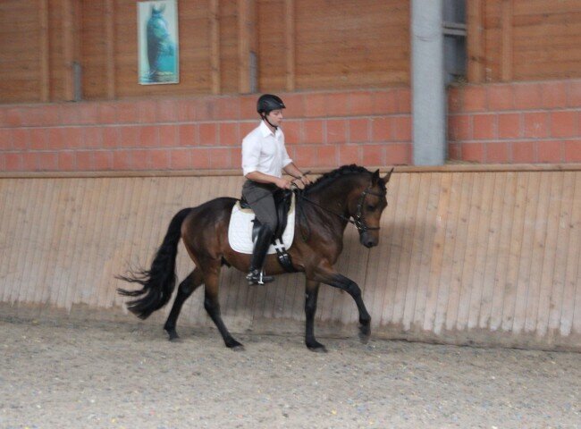 650x480-crop-90-img_0534