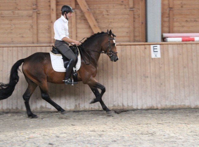 650x480-crop-90-img_0536
