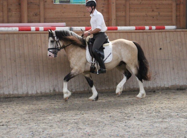 650x480-crop-90-img_0537