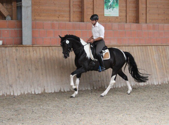 650x480-crop-90-img_0551