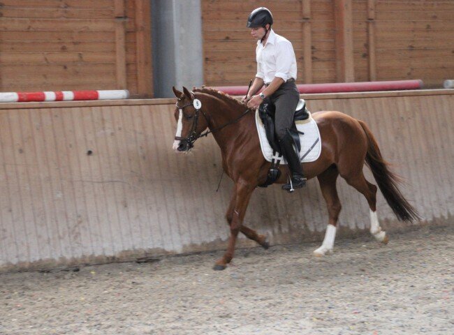 650x480-crop-90-img_0556