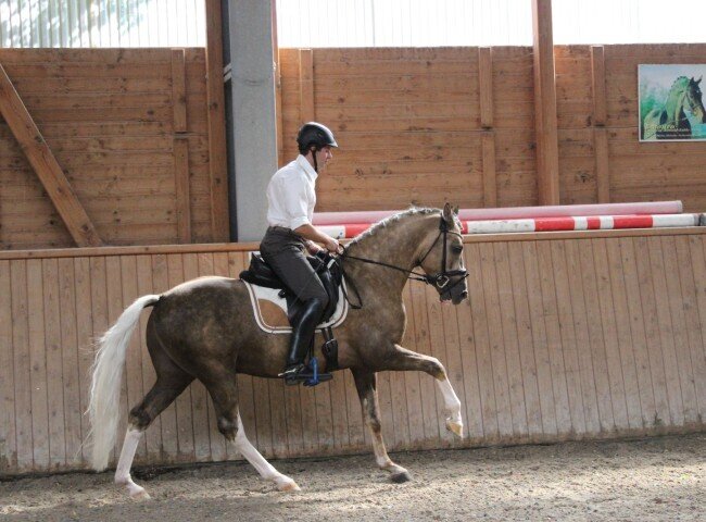 650x480-crop-90-img_0562