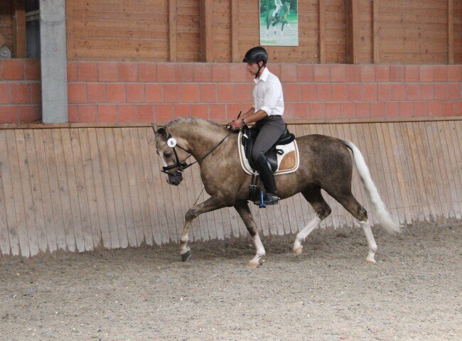650x480-crop-90-img_0566