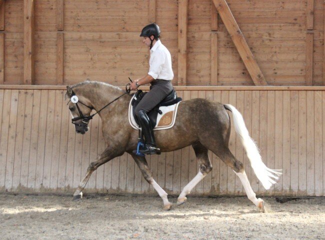 650x480-crop-90-img_0569
