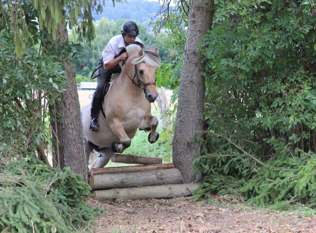 650x480-crop-90-img_0608