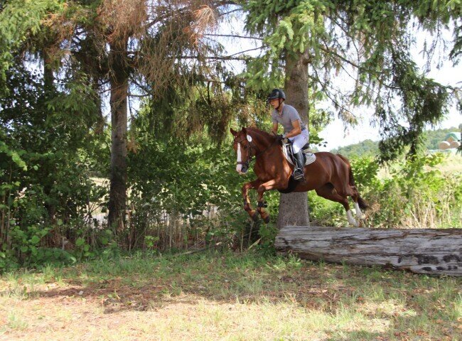 650x480-crop-90-img_0621