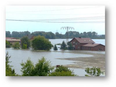 Spendenaufruf von Landrat Hans Walker für Hochwassergeschädigte im Landkreis Börde (Bild vergrößern)