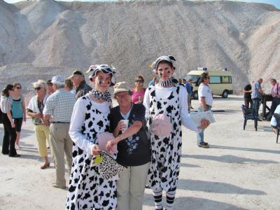 Foto zur Meldung: Kühe sammeln Spenden auf dem Salzberg