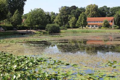 Instandhaltungsmaßnahmen am Wittstocker Dosseteich