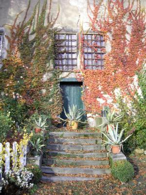 Bald hüllt der Herbst die Burg wieder in seine Farben (Bild vergrößern)