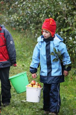 Foto zur Meldung: Apfel- und Waldprojekt