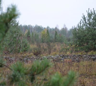 Sanierungsbergbau kehrt nach Schipkau zurück (Bild vergrößern)