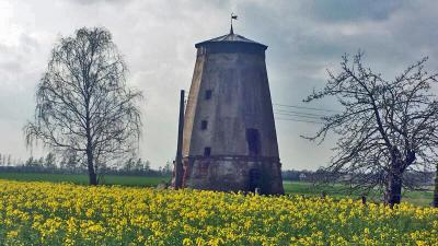 Denkmal des Monats April, die Holländermühle bei Rosenthal