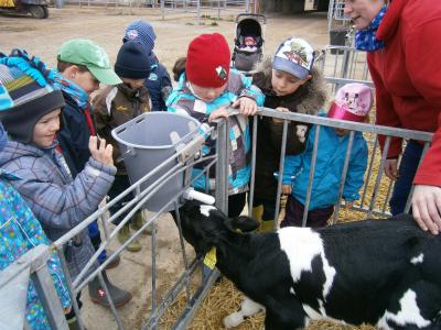Projektthema - Bauernhoftiere in der Kita Flämingkinder
