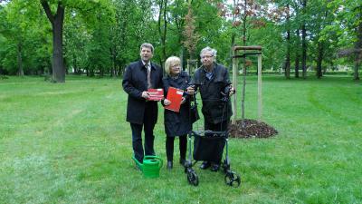 Bärbel und Karl-Heinz Straßburg mit Bürgermeister Dr. Oliver Hermann vor "ihrer"  Blutbuche (Bild vergr&ouml;&szlig;ern)