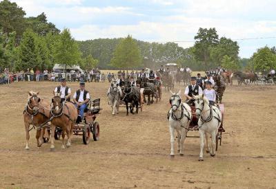 Vorschaubild zur Meldung: Mehr als 1500 Pferdefreunde zog es zum Reiterfest nach Oschätzchen