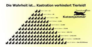 Foto zur Meldung: Kastration verhindert Tierleid!!!!!! Foto zur Meldung: Kastration verhindert Tierleid!!!!!!