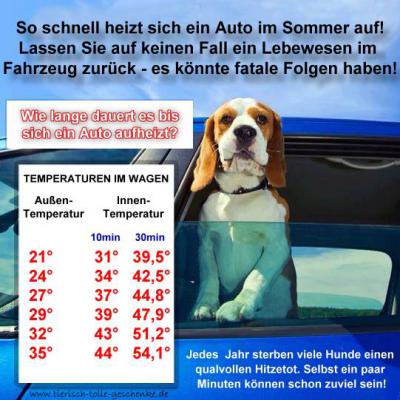 Foto zur Meldung: Lassen sie ihren Hund bei Hitze NIEMALS im Auto!!! Foto zur Meldung: Lassen sie ihren Hund bei Hitze NIEMALS im Auto!!!