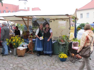 Brandenburger Dorf- und Erntefest in Fürstlich Drehna (Bild vergrößern)