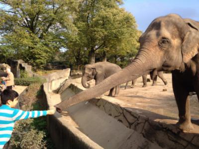 Foto zur Meldung: Neues aus der 4b - Hagenbecks Tierpark
