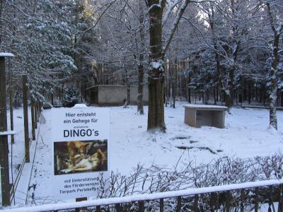 Neue Dingoanlage entsteht im Perleberger Tierpark