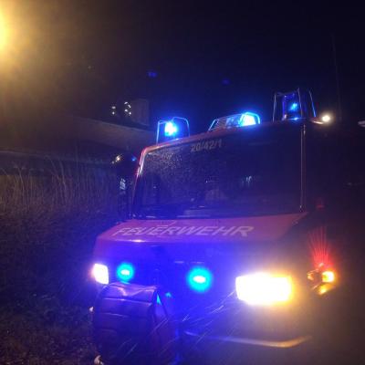 Foto zur Meldung: Feuer Mittel - Schornsteinbrand in Krukow