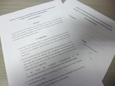 Antragsformular für Kulturrichtlinie online (Bild vergr&ouml;&szlig;ern)