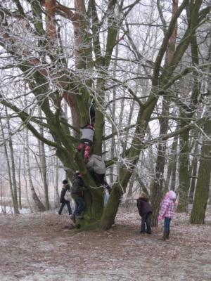 Abwechslungsreiche Winterferien in der ITB-Damsdorf (Bild vergrößern)