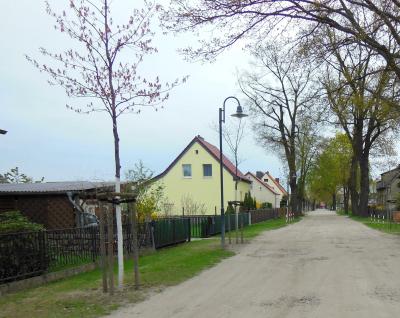 Roteichen ziehen um: Drei Bäume aus der Roteichenstraße erhalten neuen Standort auf dem Spielplatz am Kastanienweg