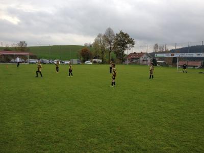 Foto zur Meldung: F-Jugend gewinnt in Geiersthal