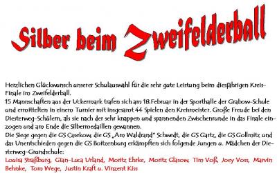 Kreisfinale Zweifelderball (Bild vergrößern)