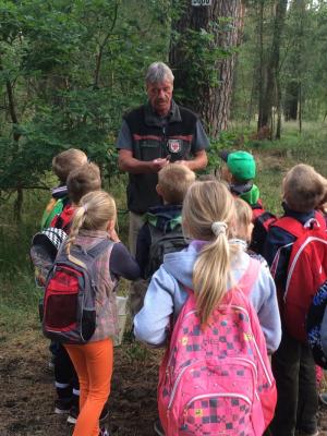 Foto zur Meldung: Mit dem Förster in den Wald