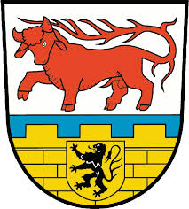 10. Informations- und Beratertag