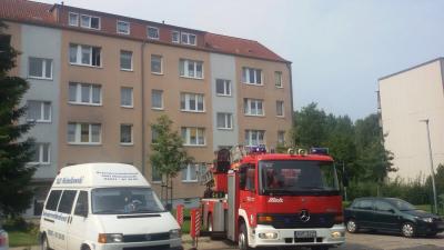 Foto zur Meldung: Katzenkind von Feuerwehr aus Fensterpalt gerettet!!! Foto zur Meldung: Katzenkind von Feuerwehr aus Fensterpalt gerettet!!!