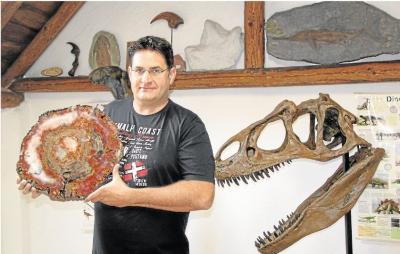 Frank Tänzer mit der rund 210 Millionen Jahre alten und von ihm präparierten Baumscheibe. Sie bildet unter den neuen Exponaten eine Besonderheit. Für Kinder ist der Schädel eines Allosaurus immer ein besonderer Blickfang. Fotos: Uli Pohl (Bild vergrößern)