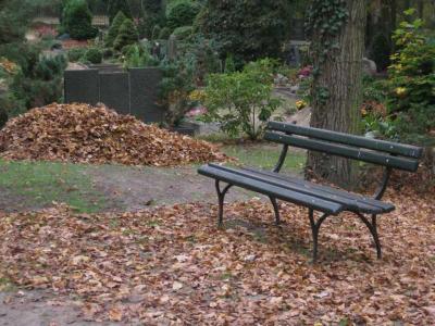 Meldung: Herbstlaubaktion auf dem Waldfriedhof am Samstag, 24. Oktober 2015 von 9-12 Uhr