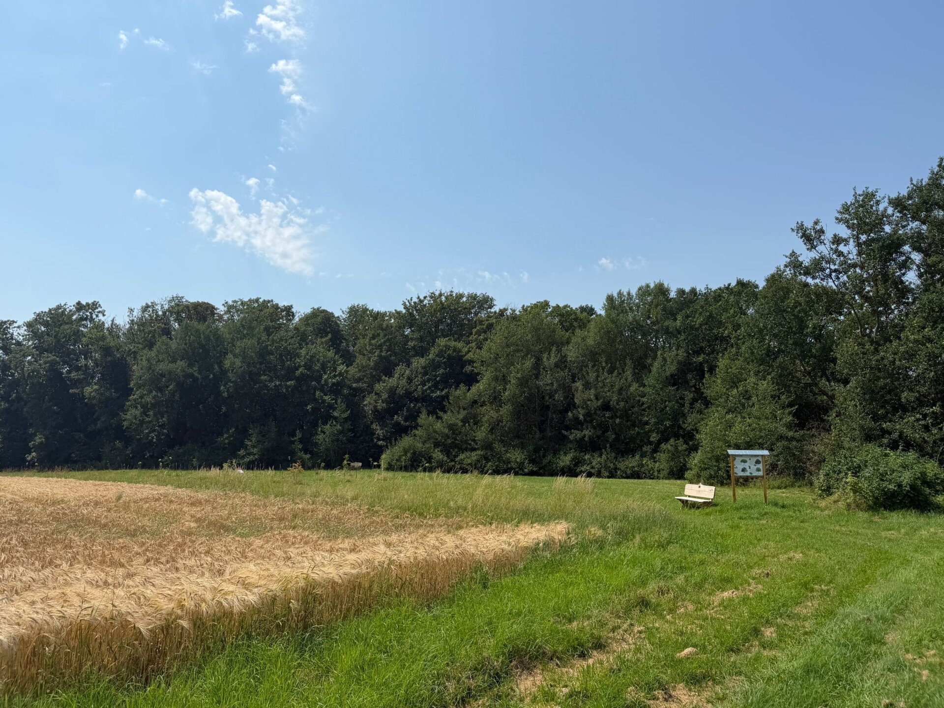 Bänke sera-Wald
