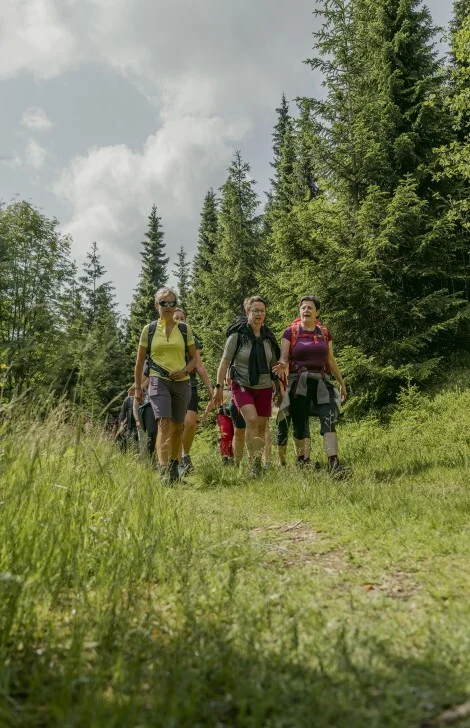 Gruppenwanderung Oberwiesenthal