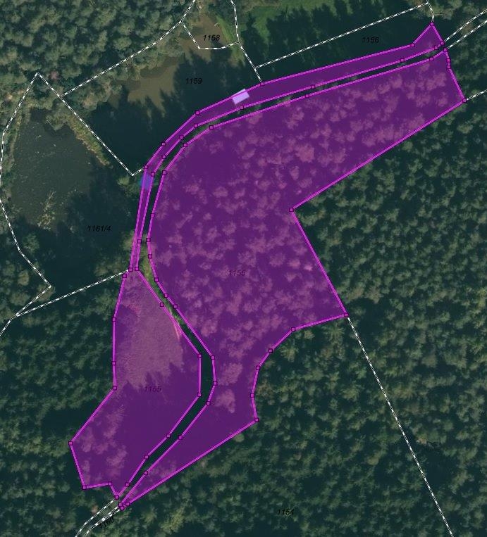 Wald Fl.Nr. 1155 Gmkg Uckersdorf