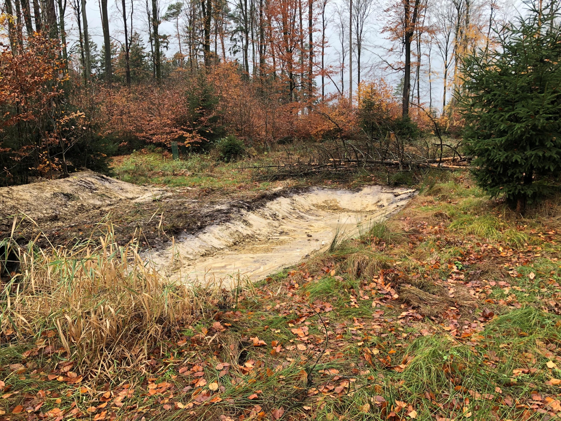 Ausgehobene Erdgrube mit Wasseransammlung in einem herbstlichen Waldgebiet mit Laub und Bäumen