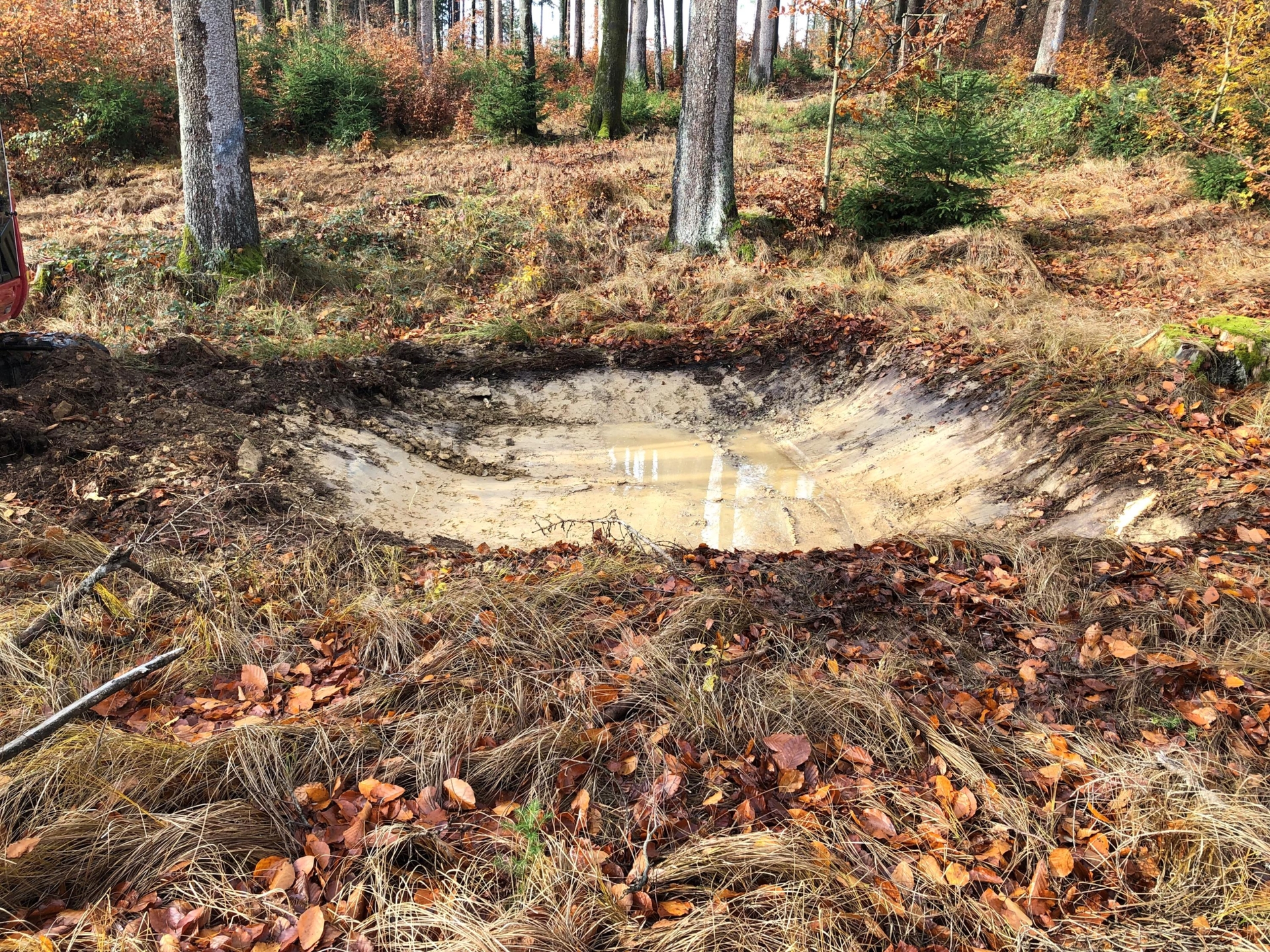 Ausgehobene Erdgrube mit Wasseransammlung in einem herbstlichen Waldgebiet mit Laub und Bäumen