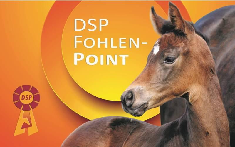 DSP -Fohlenpoint
