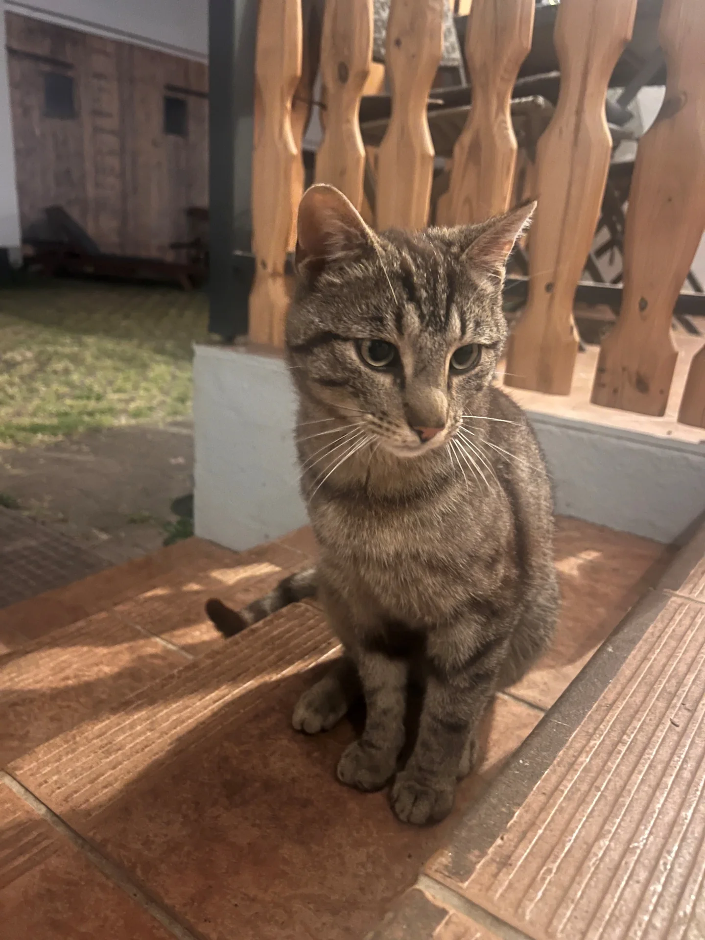 Kater7