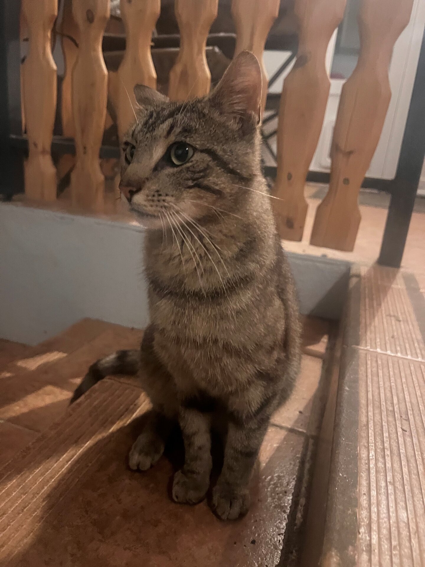 Kater7a