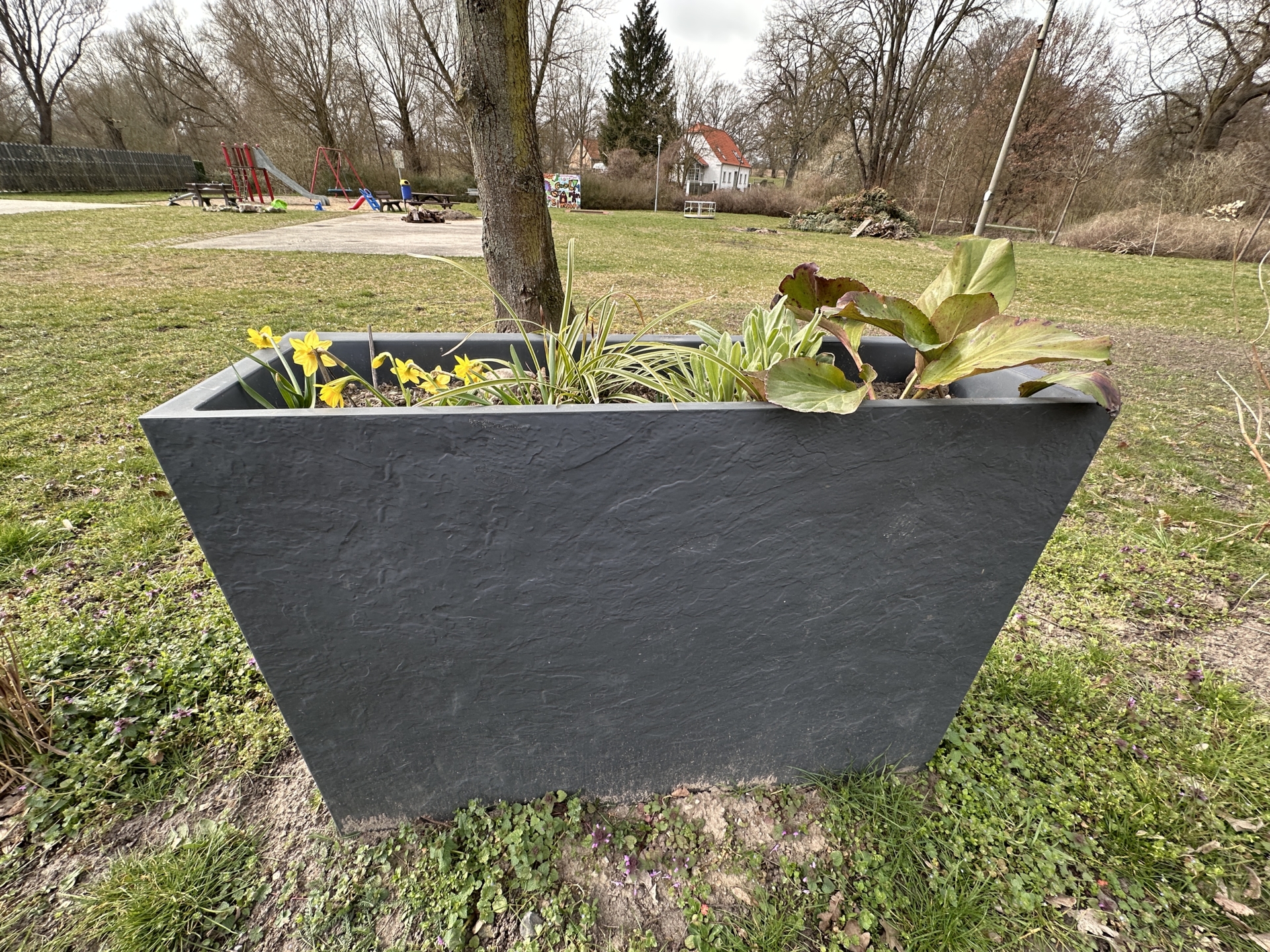 Pflanzenkübel Liebenberg