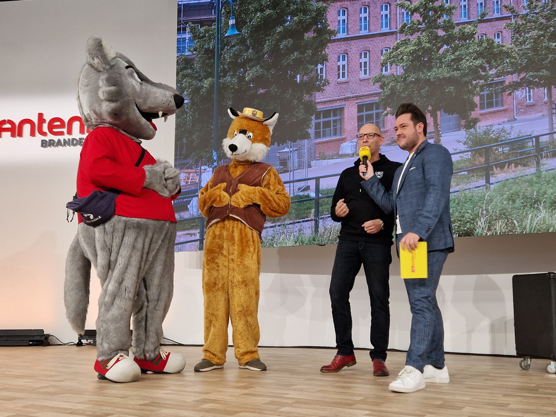 Werben für Pritzwalk: Willy Wolf, der Knieperfuchs und Bürgermeister Dr. Ronald Thiel mit Moderator Christopher Hameister. Foto: Beate Vogel